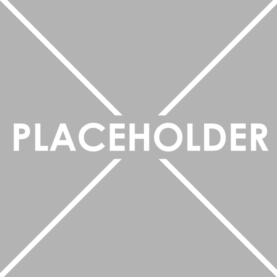 images placeholder temporary image
